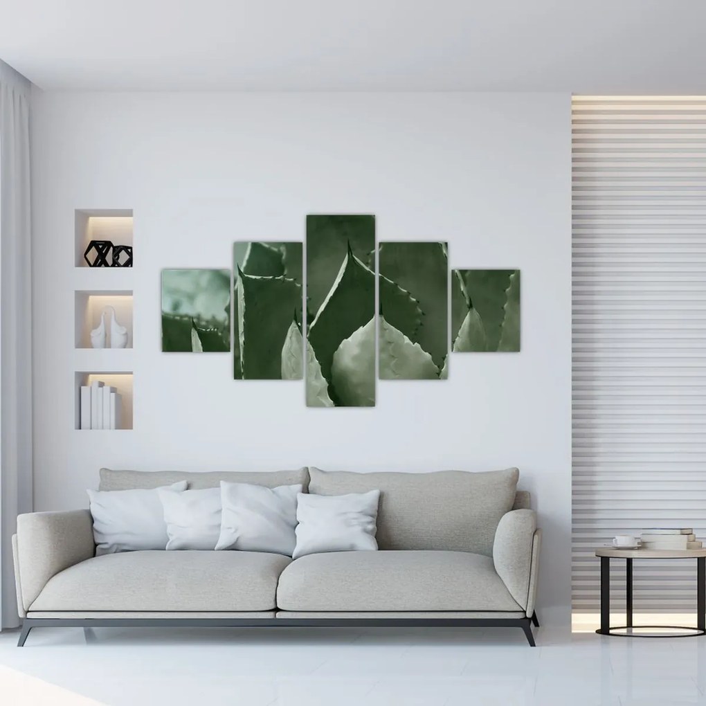 Obraz - Zielona agawa (125x70 cm)