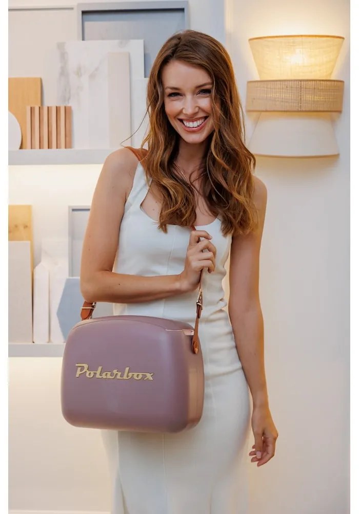 Brązowy pojemnik chłodzący 6 l Classic Gold – Polarbox