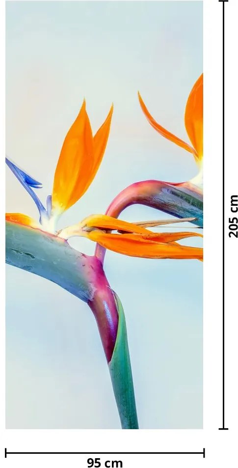 Fototapeta na drzwi - Kwiaty Strelicji (95x205cm)