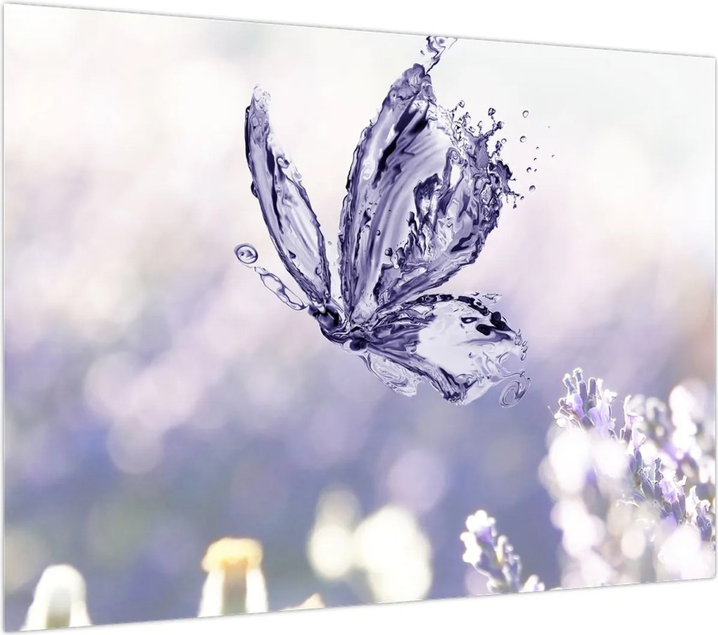 Obraz - Motyl i lawenda (70x50 cm)