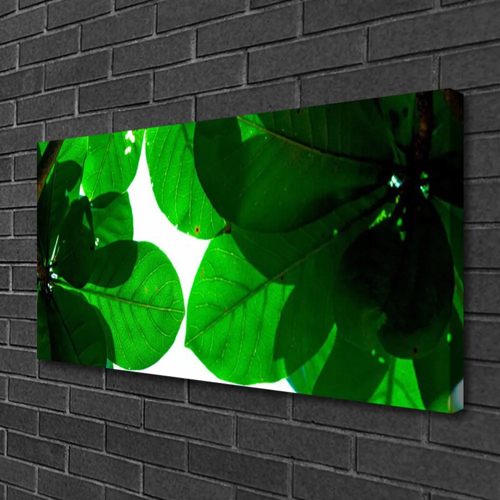 Obraz na płótnie Stylowy Motyw Liści