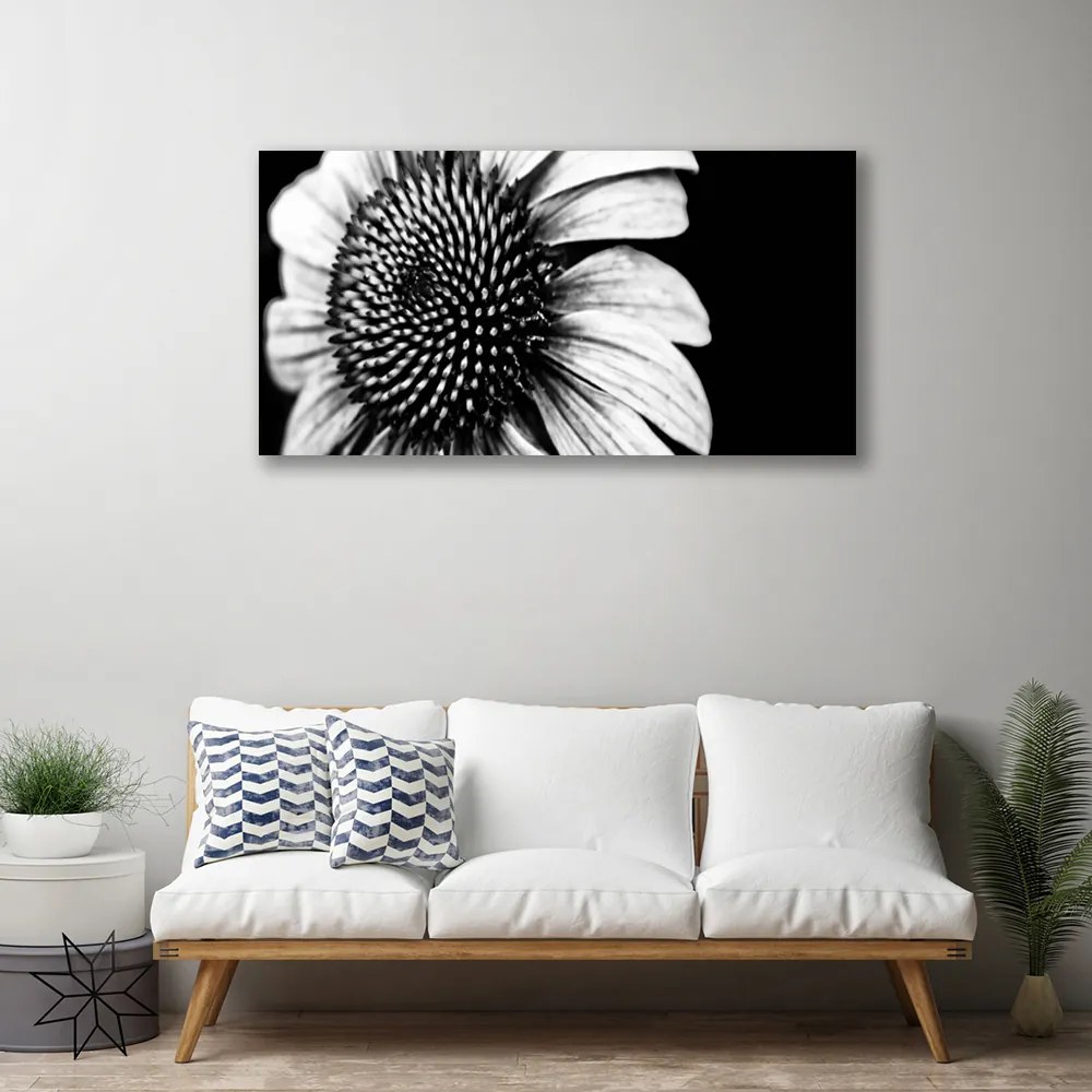 Obraz drukowany na płótnie Rozkwitająca Natura