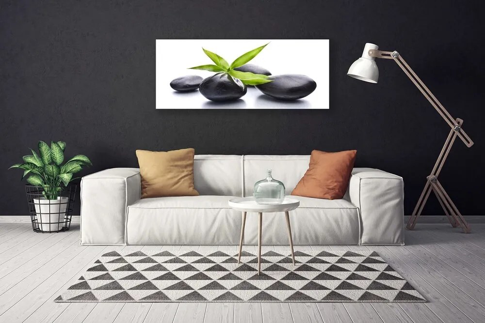 Obraz na płótnie Duet Kamienia i Liścia