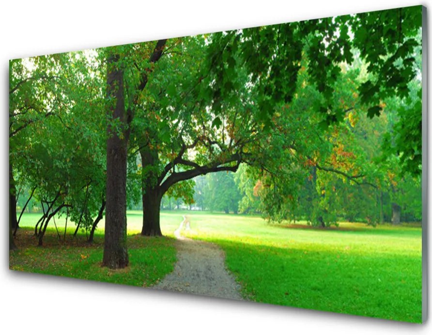 Szkło do Kuchni na Ścianę Aleja w Cieniu Drzew