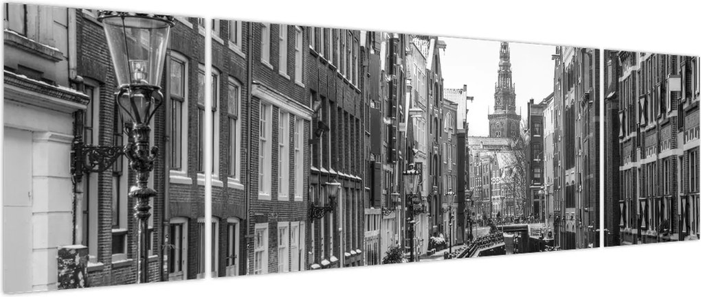 Obraz - Holandia (170x50 cm)