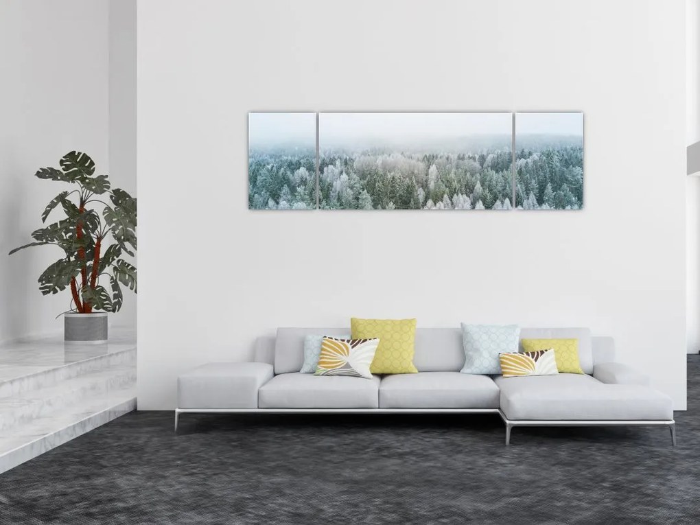 Obraz - Ośnieżone szczyty lasów (170x50 cm)