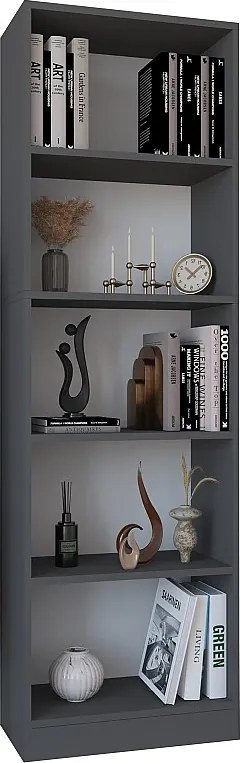 Drewniana półka Książki Bookcase Dilos XL 5