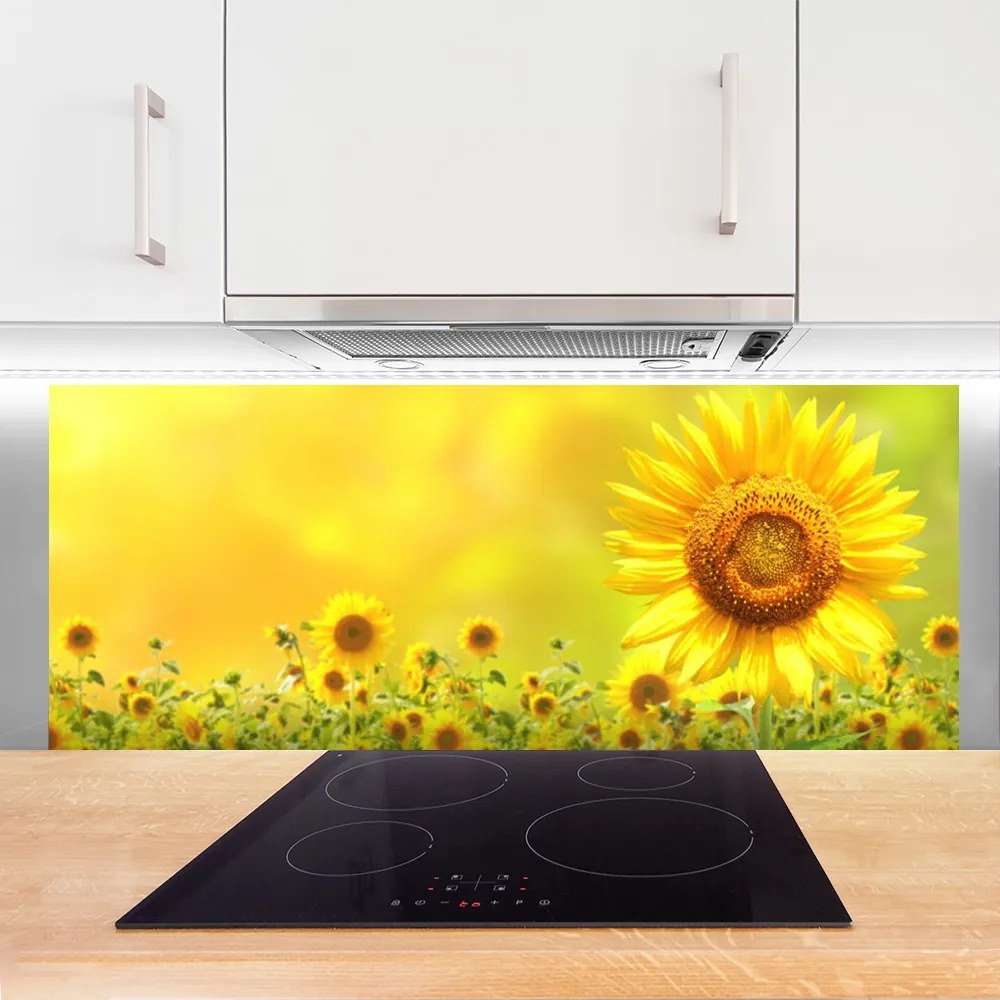Szkło do Kuchni na Ścianę Słonecznik Pod Letnim Niebem