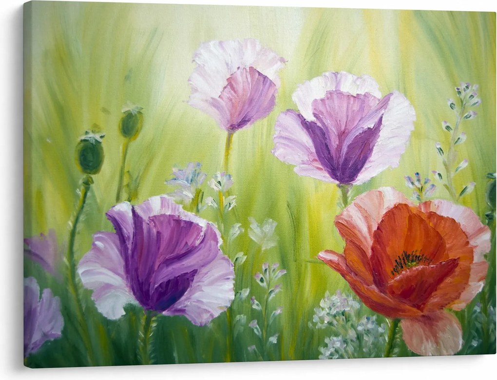 Obraz - Maki (70x50 cm)