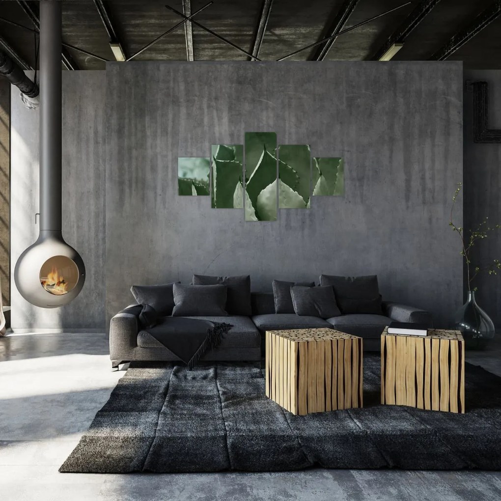 Obraz - Zielona agawa (125x70 cm)