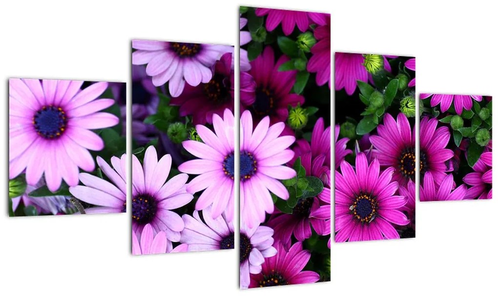 Obraz - Kwiaty (125x70 cm)