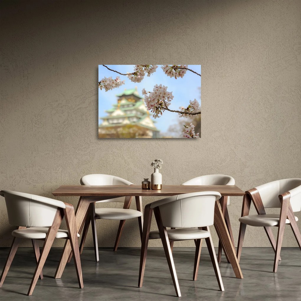 Obraz na szkle - Sakura (70x50 cm)