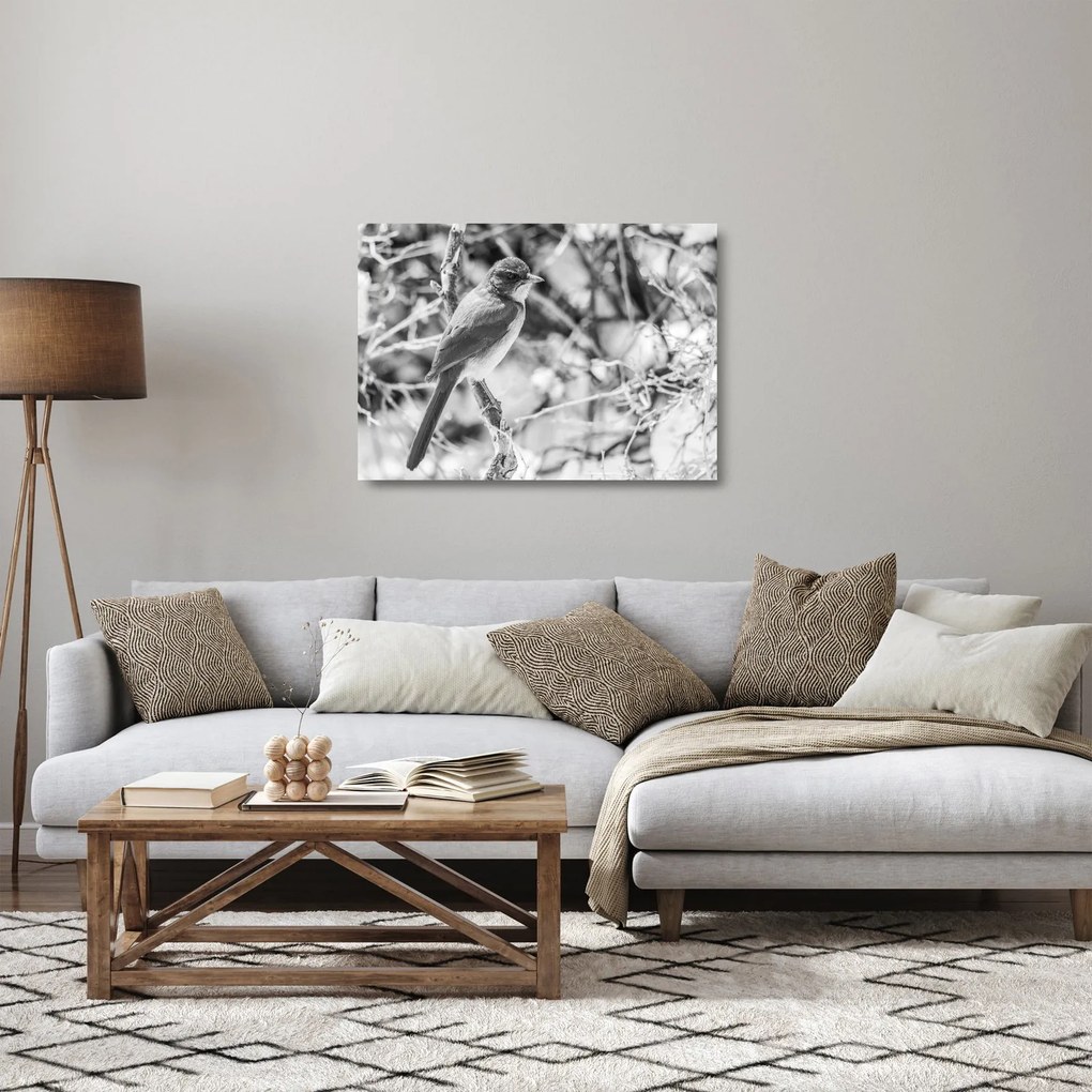 Obraz na szkle - Niebieski ptak zimą (70x50 cm)