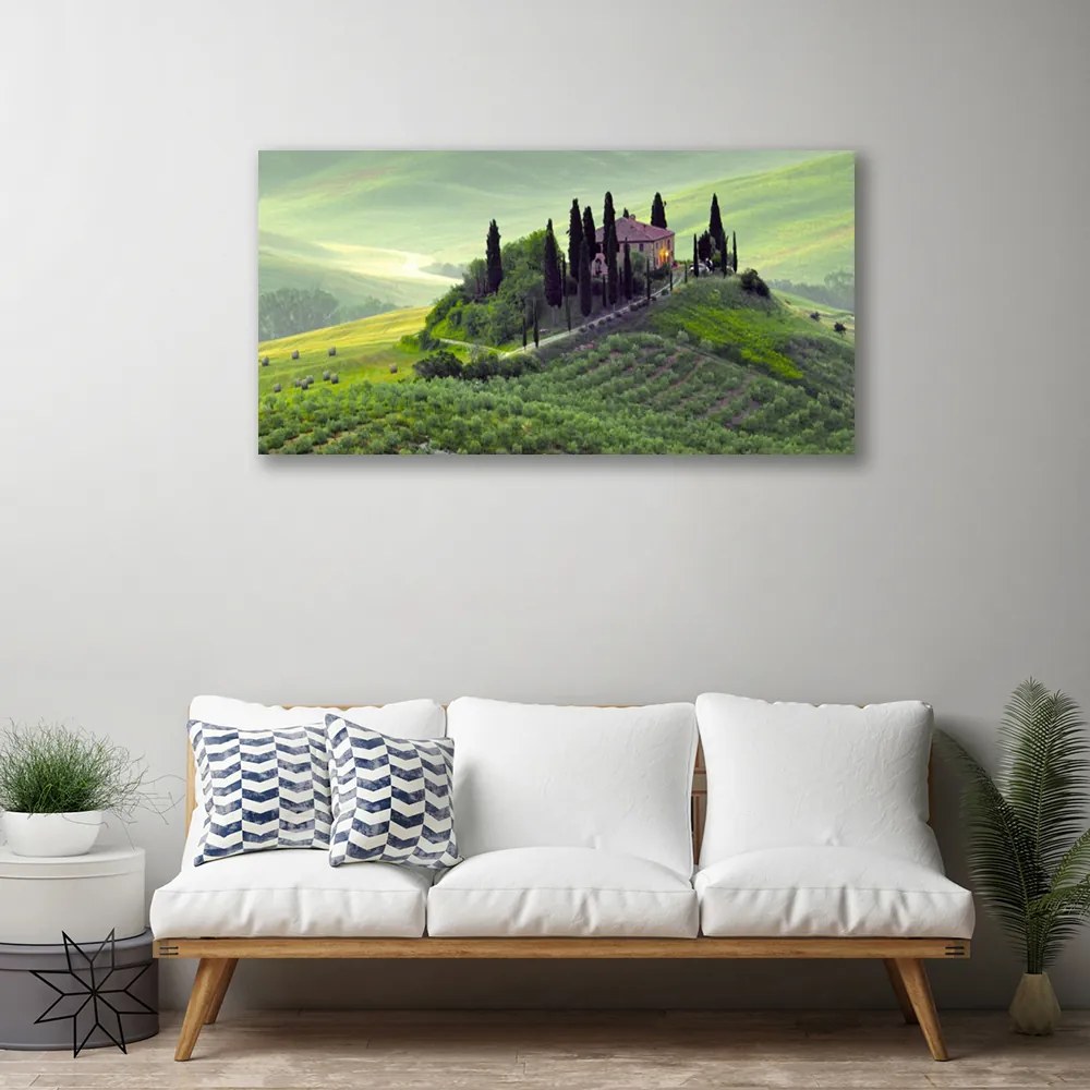 Zdjęcie na płótnie Sielska Łąka z Drzewami