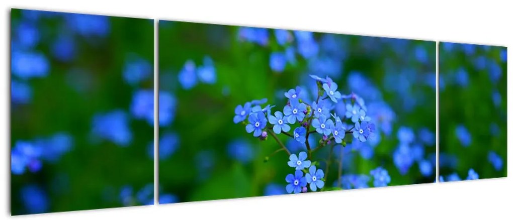 Obraz niebieskich kwiatów (170x50 cm)