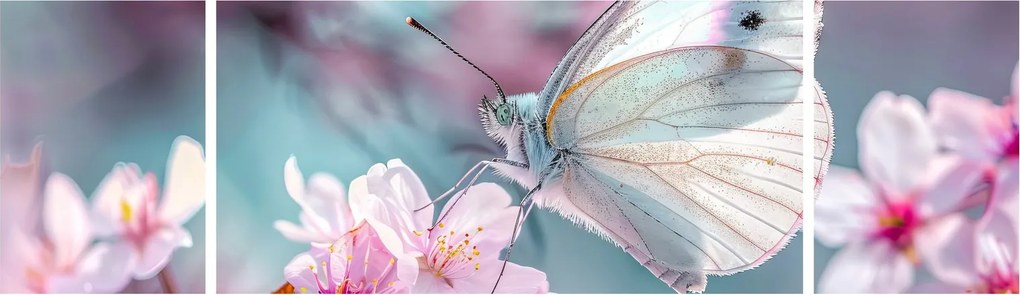 Obraz - Motyl na drzewie wiśni (170x50 cm)