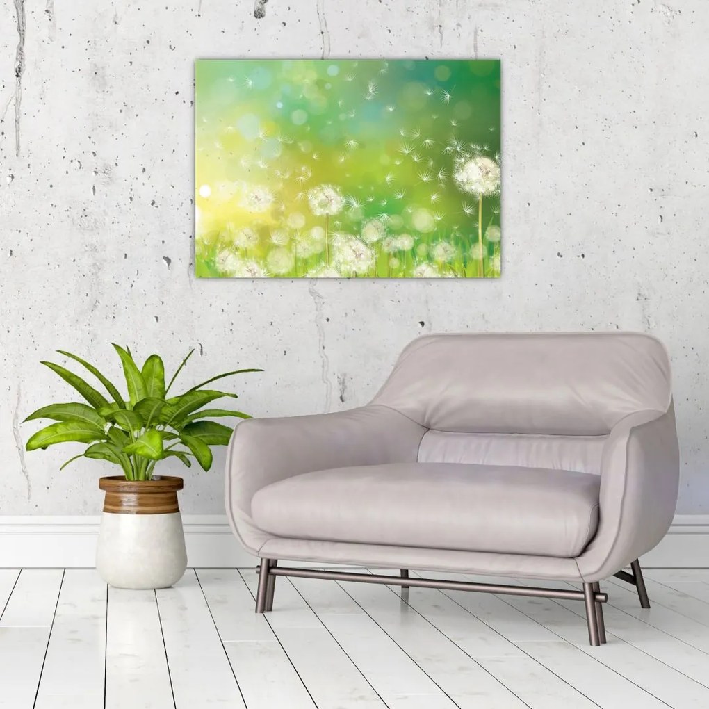 Obraz - Kwitnące mlecze (70x50 cm)