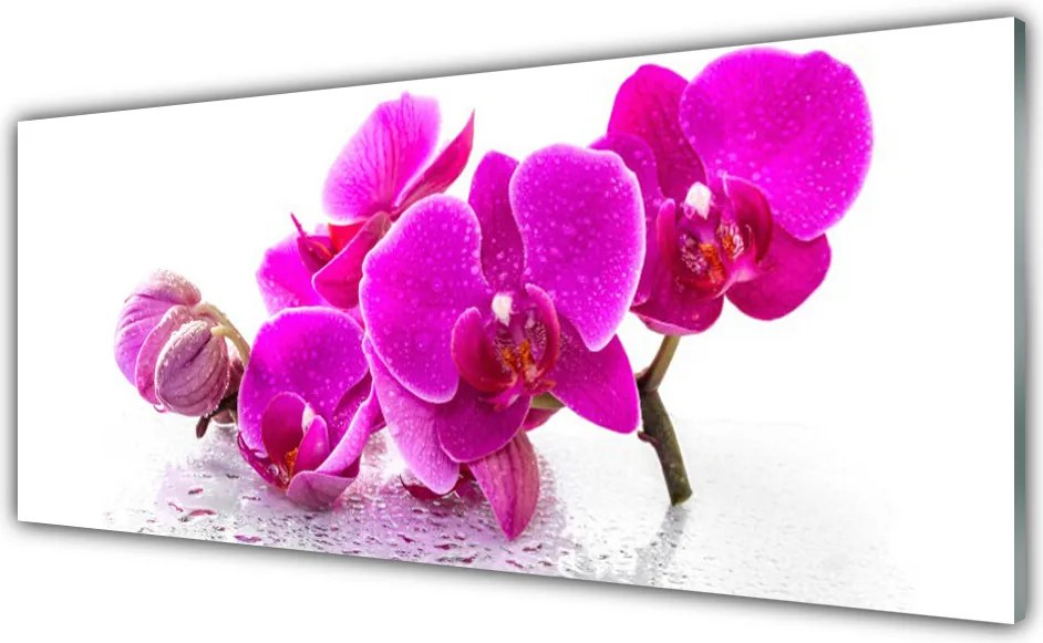 Panel Kuchenny Kolorowe Bratki W Ogrodzie