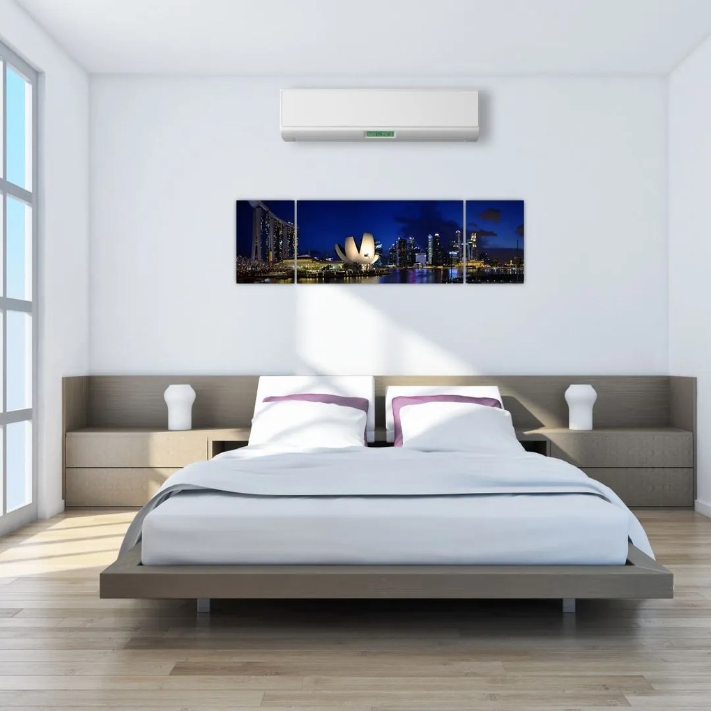 Obraz Singapuru nocą (170x50 cm)