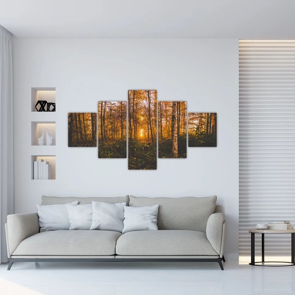Obraz jesiennego lasu (125x70 cm)