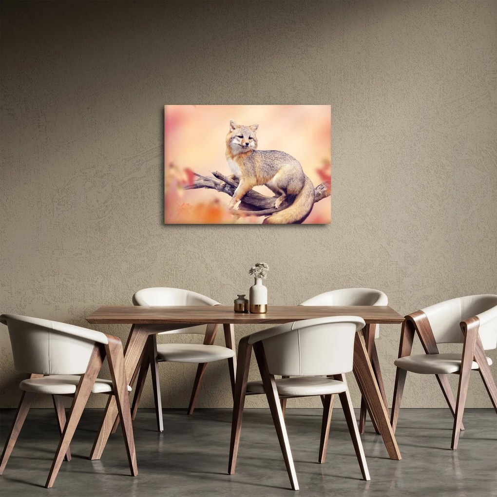 Obraz - Lis (70x50 cm)