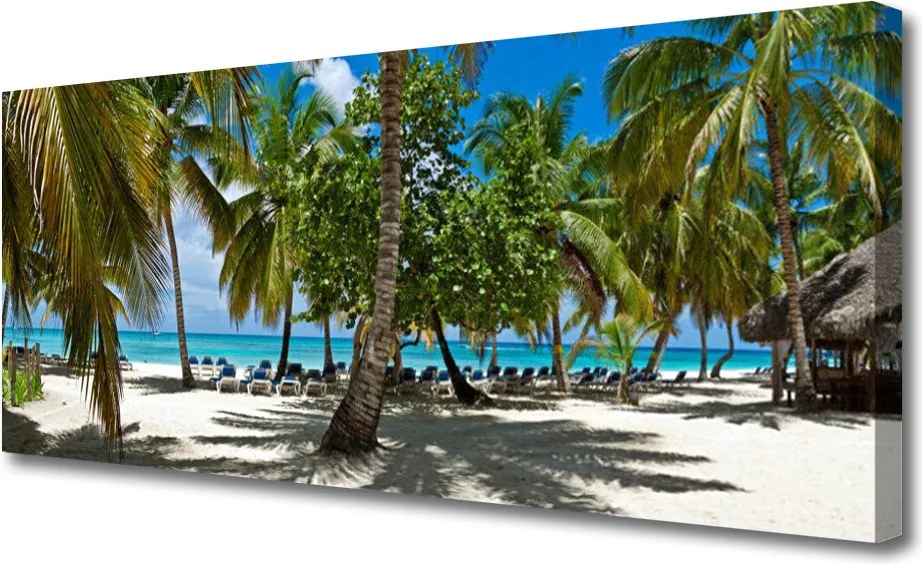 Obraz canvas Cień Palmy na Piasku