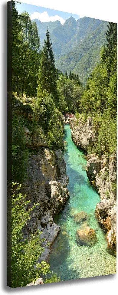 Foto obraz canvas pionowy Potok górski