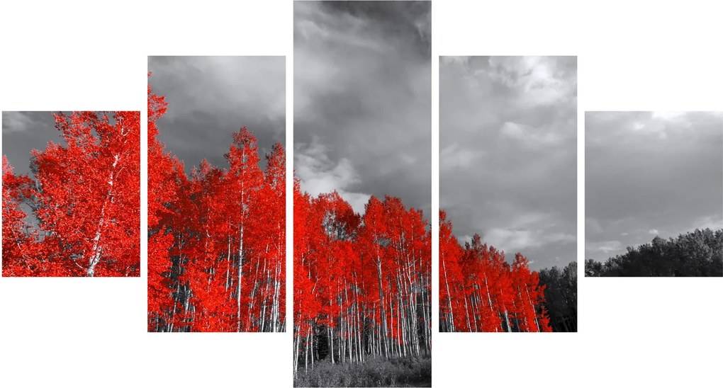 Obraz - Drzewa w kolorze jesieni (125x70 cm)