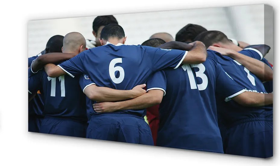 Obraz na płótnie Walka Na Zielonej Murawie