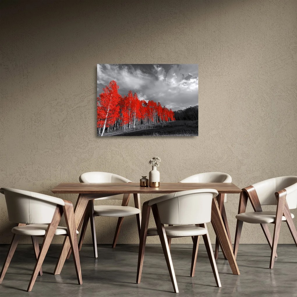 Obraz na szkle - Drzewa w kolorze jesieni (70x50 cm)