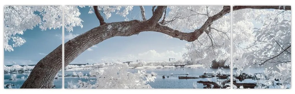 Obraz ośnieżonego drzewa nad wodą (170x50 cm)
