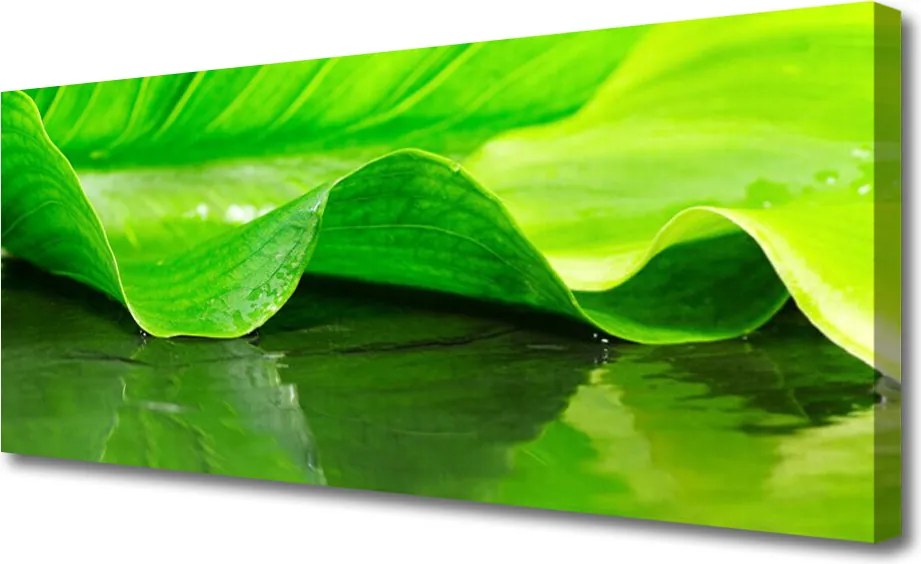 Obraz canvas Makro Struktura Liścia