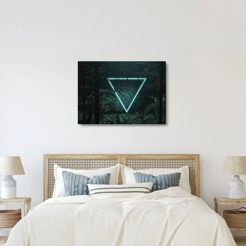 Obraz - Neonowy trójkąt w dżungli (70x50 cm)