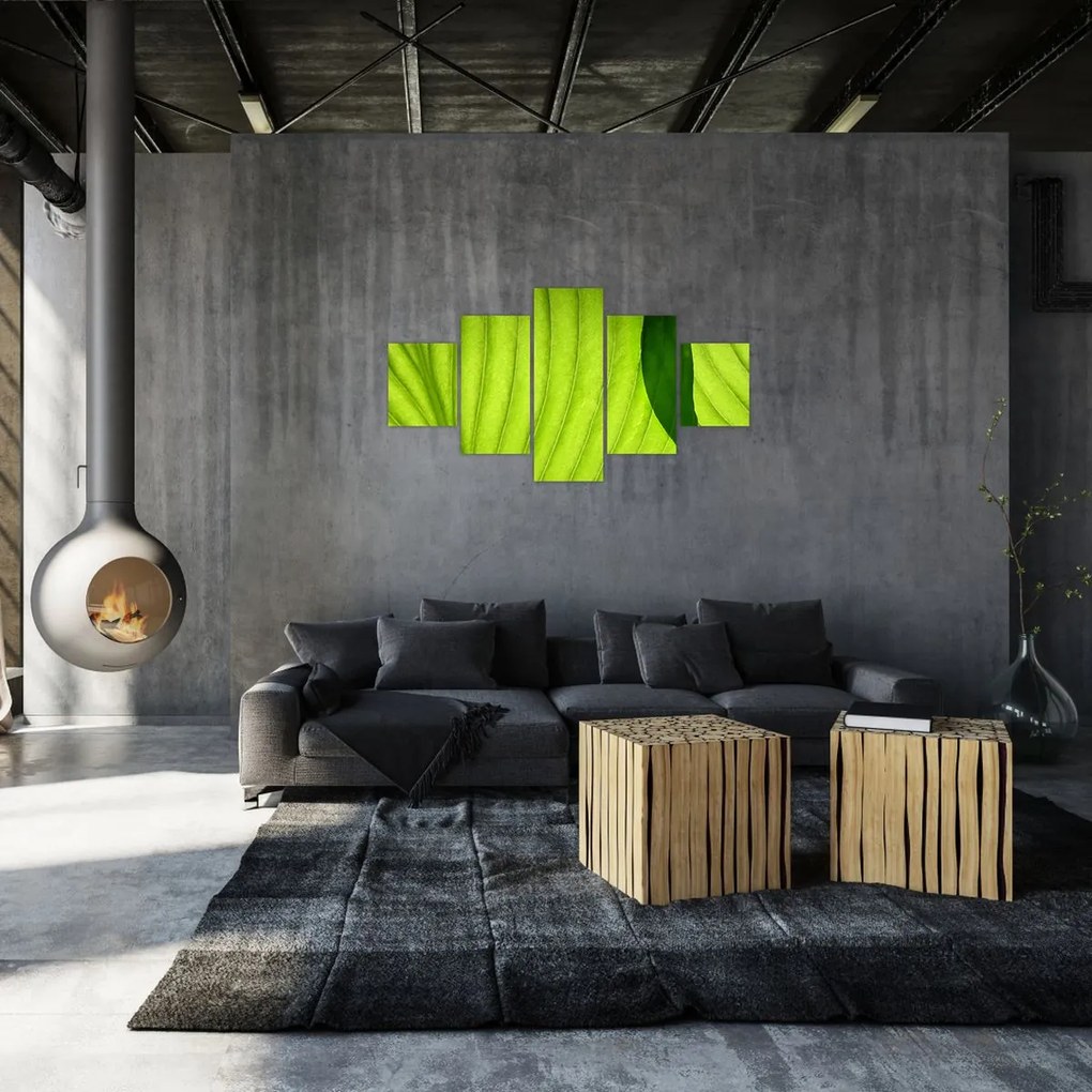 Obraz - Szczegół zielonego liścia (125x70 cm)