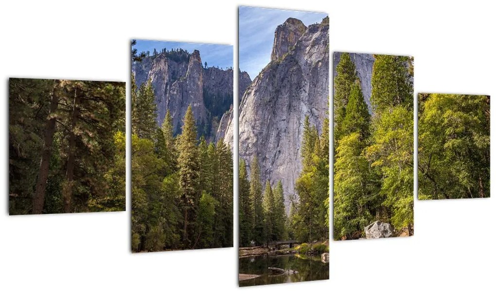 Obraz - Pod Yosemite Rock (125x70 cm)