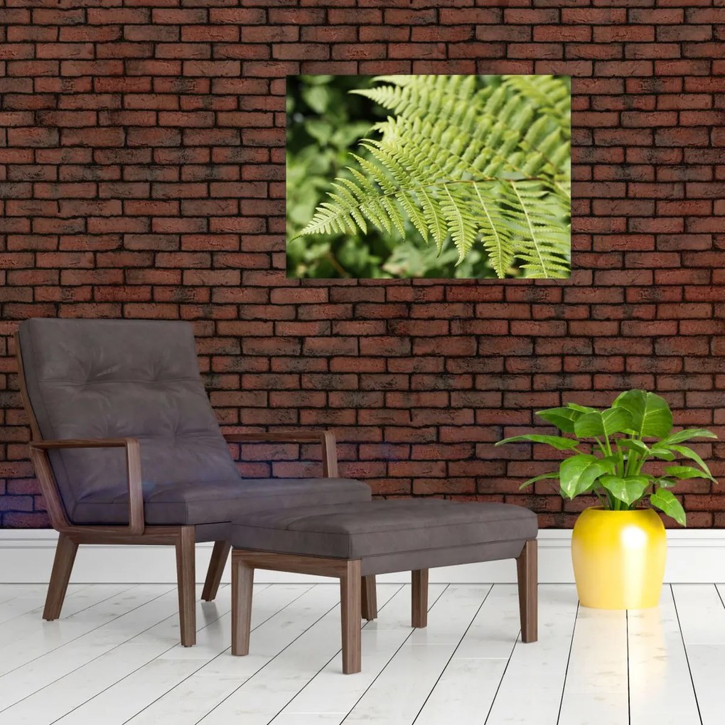 Obraz - Liść paproci (70x50 cm)