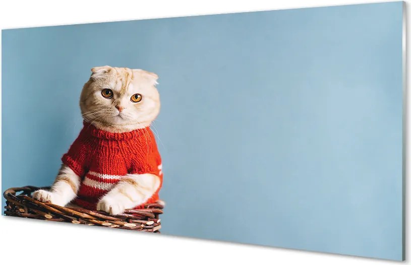Panel Szklany Portret Siedzącego Kota