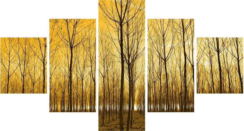 Obraz lasu o zachodzie słońca (125x70 cm)