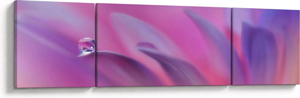 Obraz - Kropla na kwiecie (170x50 cm)