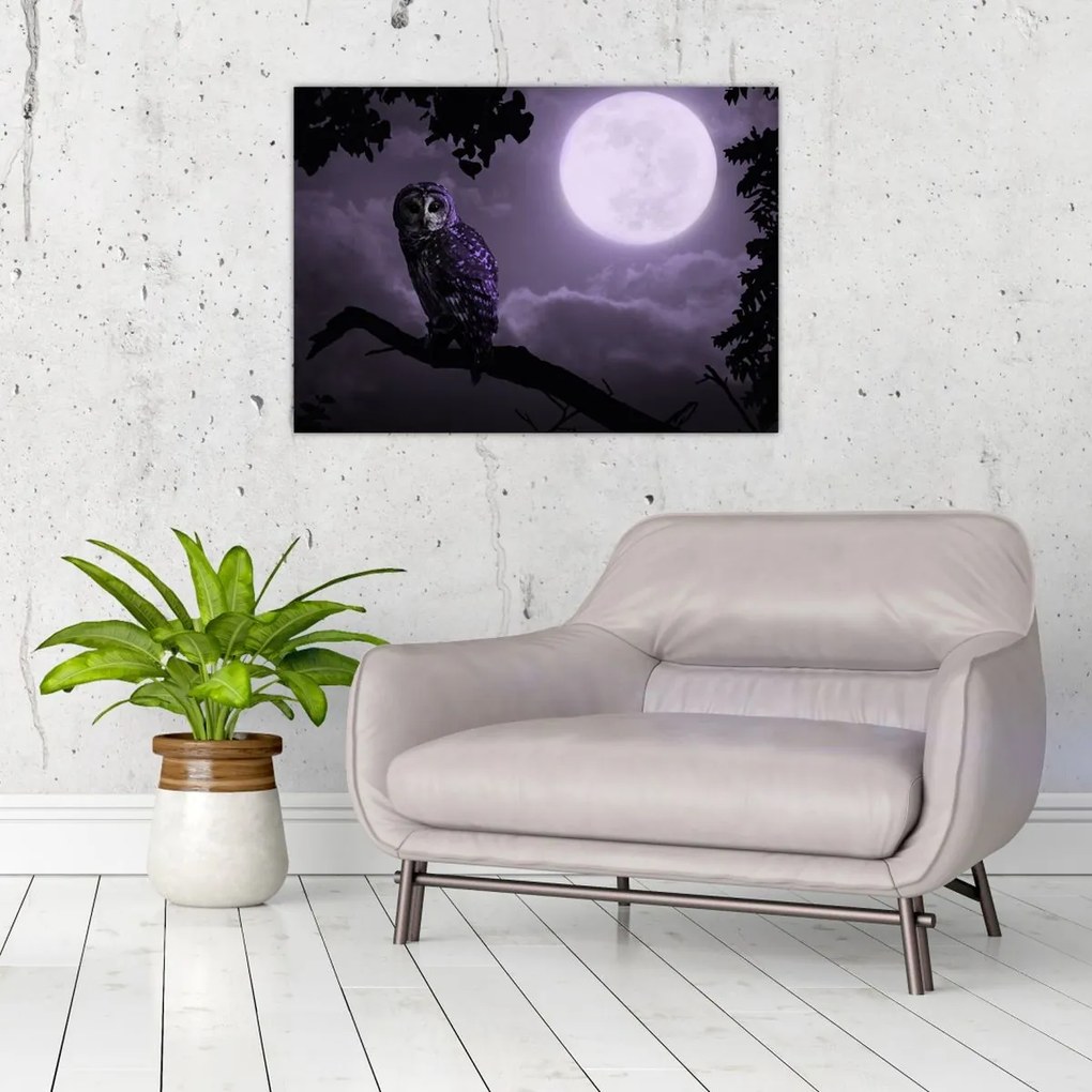 Obraz na szkle - Nocna sowa, fioletowy (70x50 cm)
