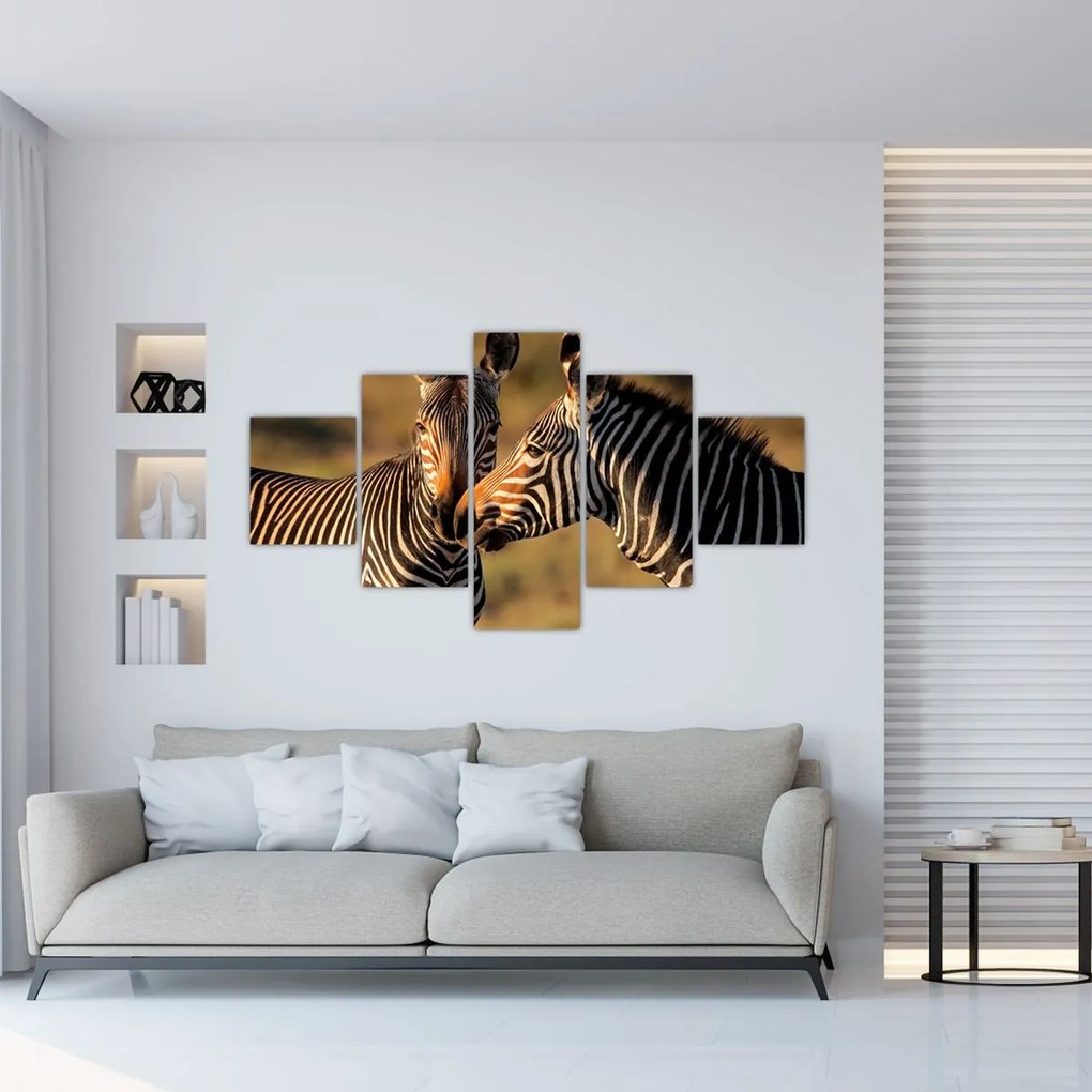 Obraz - Dwie zebry (125x70 cm)