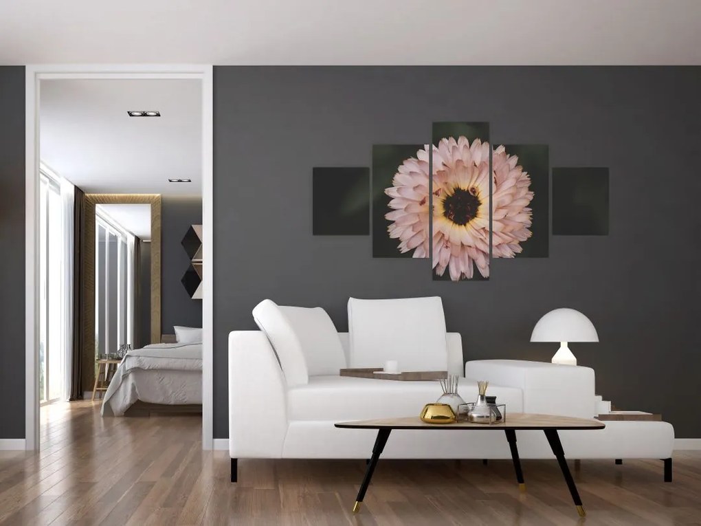 Obraz pomarańczowego kwiatu (125x70 cm)