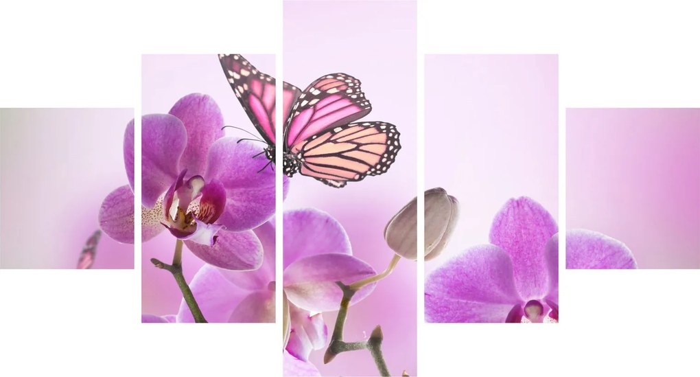 Obraz - Motyl na kwiatach orchidei, liliowy (125x70 cm)
