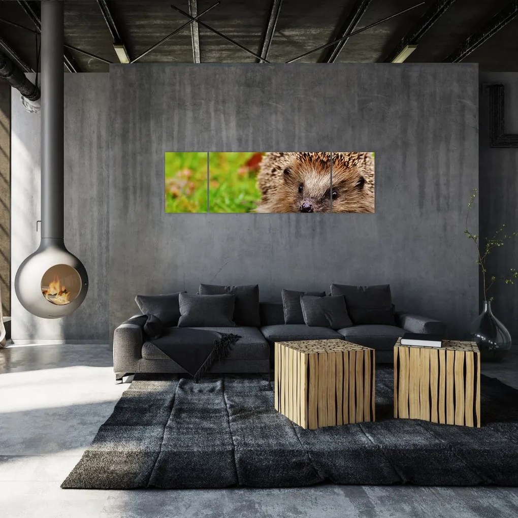 Obraz jeża (170x50 cm)