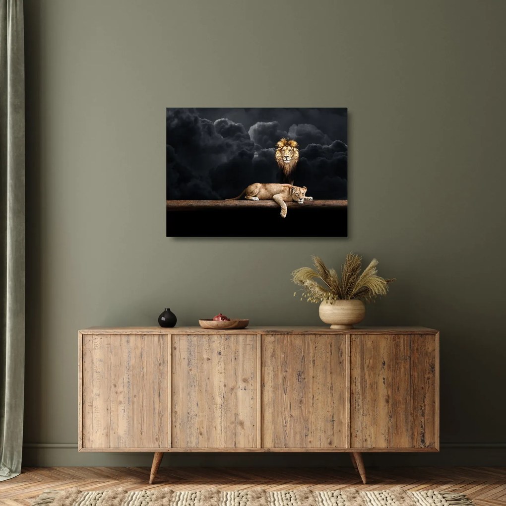 Obraz na szkle - Lew i lwica w chmurach (70x50 cm)