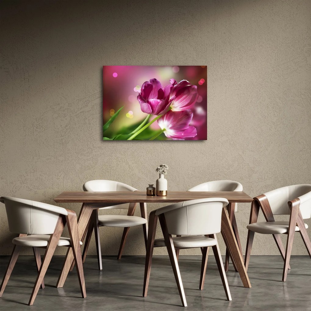 Obraz różowych tulipanów (70x50 cm)