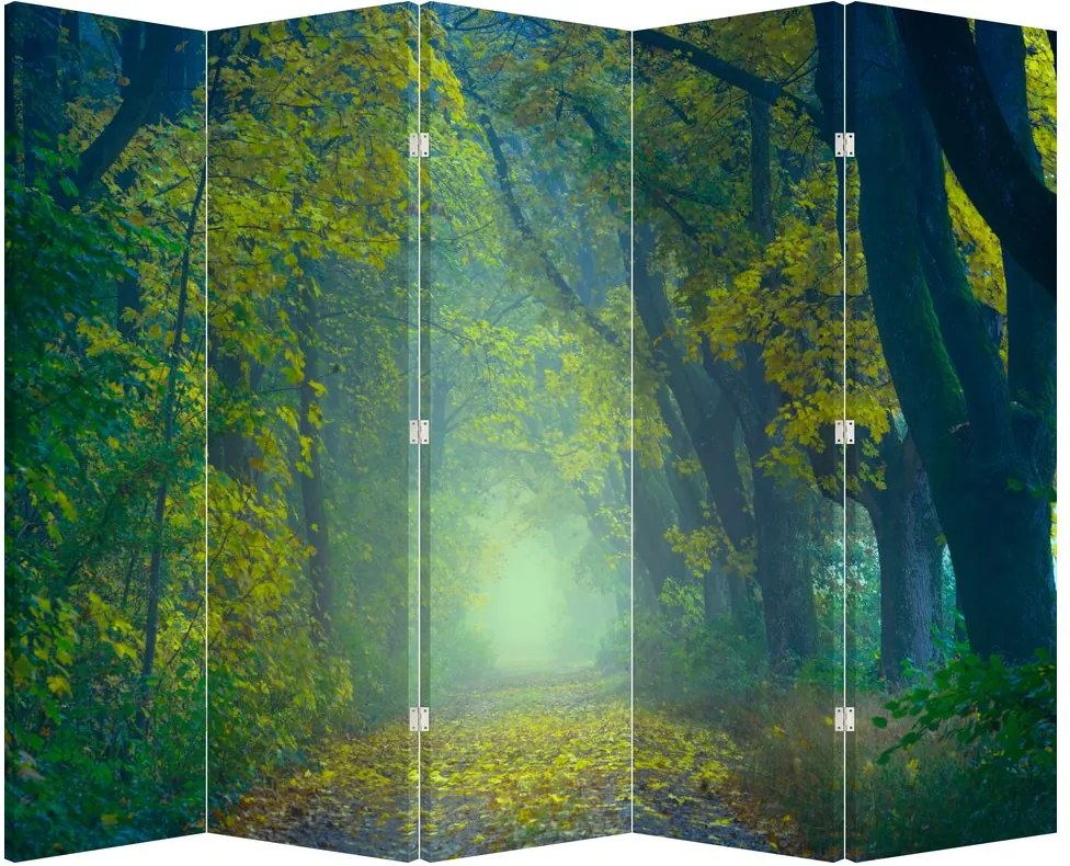 Parawan - Ścieżka wysadzana drzewami (210x170 cm)