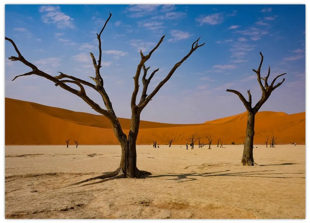 Obraz - Dolina Śmierci (70x50 cm)