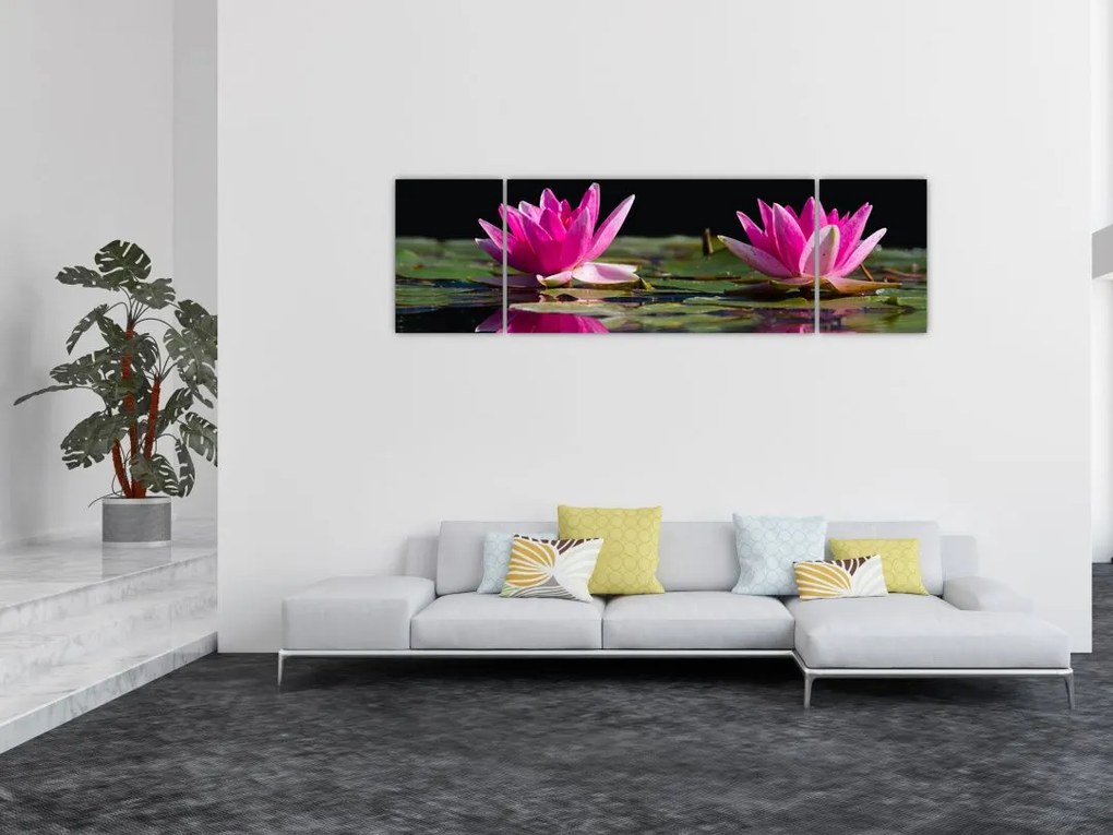 Obraz lilii wodnych na wodzie (170x50 cm)