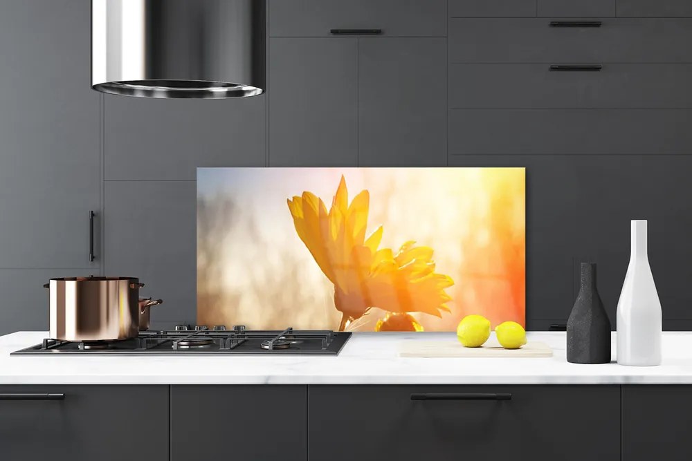 Szkło do Kuchni na Ścianę Złoty Słonecznik W Słońcu